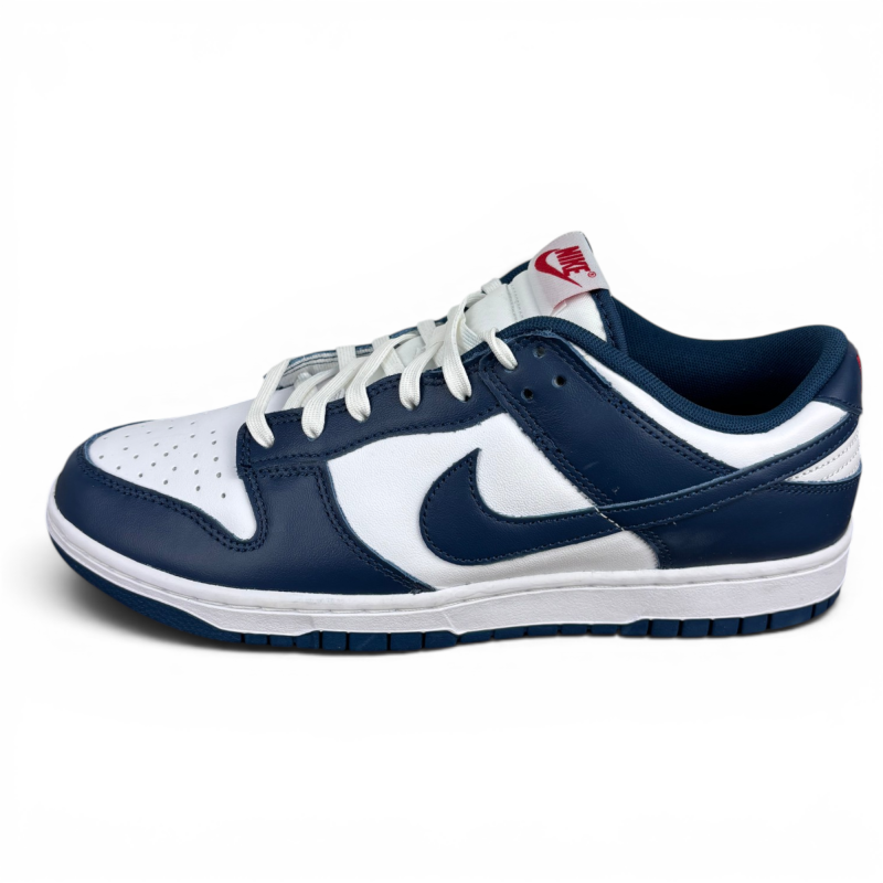Nike Dunk Low Valerian Blue